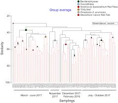 Diversity Free Full Text Phytoplankton Blooms Red Tides