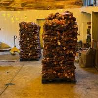 10 "Oscar Eguia" profiles