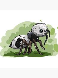 Image result for panda ant