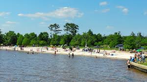Fontainebleau State Park Has The Best Sandy Beach Near New Orleans