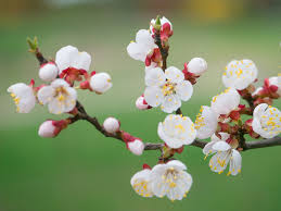Check spelling or type a new query. 20 Best Spring Quotes Inspirational And Funny Sayings About Spring