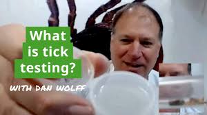 What is a Tick Testing Service? Do I Need One and How to Choose