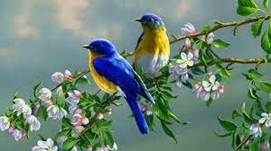 Best desktop wallpapers, full hd backgrounds. Pc Hd Wallpapers Free Downlod Wallpaper Cave
