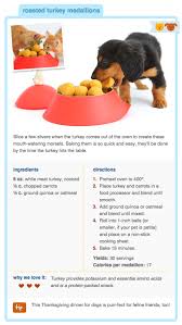 When Roving Noses Make Their Way Into Your Lap During Dinner It Can Be Easy To Give In And Slip Pe Dog Food Recipes Healthy Dog Food Recipes Dog Treat Recipes