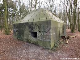 De linie loopt van muiden tot aan de biesbosch en is 3 tot 5 kilometer breed. Bunkerinfo Bunkers Info Foto S Locaties En Meer Groepsschuilplaats Type P Hm25