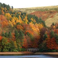 Ten gorgeous autumn walks in the Peak District - Manchester Evening News