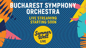 Summer Well Festival Live Facebook