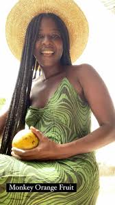 Image result for Strychnos cocculoides