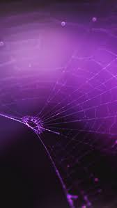 Download 1350x2400 Spiderweb Purple Weaving Wallpaper In 2021 Purple Wallpaper Purple Wallpaper Hd Cool Backgrounds