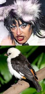 it's mother's Day weekend so why not let's pop that white 6gen ott ttm BIG  MADMAX LOOKING YALL 👀👀👀💪🏽💪🏽Terrence Underwood Graylow Grovner  Lonzell McKenzie Mickey Cribb