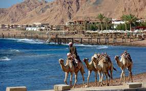 روسيا تستأنف الرحلات الجوية مع الغردقة وشرم الشيخ اعتبارا من 9 أغسطس. Ø±Ø­Ù„Ø§Øª Ø¬Ù†ÙˆØ¨ Ø³ÙŠÙ†Ø§Ø¡ Ø±Ø­Ù„Ø§Øª Ø´Ø±Ù… Ø§Ù„Ø´ÙŠÙ€Ù€Ù€Ø® Ù„Ù„Ø­Ø¬Ø² Ø¹Ù…Ø±Ùˆ ÙÙˆØ²ÙŠ 002 01004779118