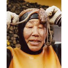 The Last Mermaid Peter Ash Lee