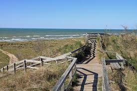 Hurry up, book now and pay less for your flight. 15 Low Key Beaches Within Driving Distance Of Detroit Summer Guide Detroit Detroit Metro Times