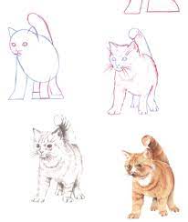 So, i'll finish it off by adding some small. How To Draw Cats In Simple Steps Animal Drawings Cat Drawing Tutorial Cat Art