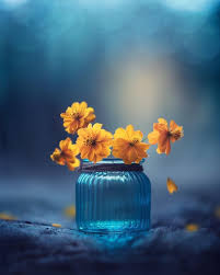 3 540 Likes 57 Comments Splendid Vibe Splendid Vibe On Instagram Beautiful Flowers Flowers Photography Flower Photos