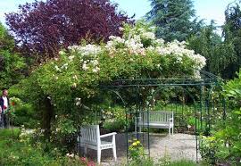 Rosarium Wilhelmshaven Aktuelle 2018 Lohnt Es Sich Wilhelmshaven Aktuelles Fotos