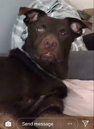 Jahrein alfred ile yaşadığı anıları anlatıyor ve çılgın kedilerin nedenini sorguluyor. Jahrein Auf Twitter Burnumda Alfred Kokusu Var Oglusumu Yarin Aliyorum Otelden Cikolatam Benim Bir Gece Daha Dayan