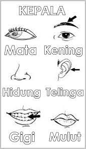 Warna yang kita sapukan tidak akan keluar dari objek gambar dan mengotori background) 15. Jom Download Pelbagai Contoh Gambar Mewarna Gigi Yang Hebat Dan Boleh Di Download Dengan Mudah Gambar Mewarna
