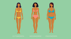 Body Type Diet Are You An Ectomorph Mesomorph Or