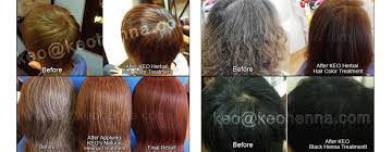 $ 8.99 flat rate shipping on all orders within usa call us : Natural Henna Manufacturers Henna Powder Suppliers Natural Hair Color Henna Hair Organic Hair Dye