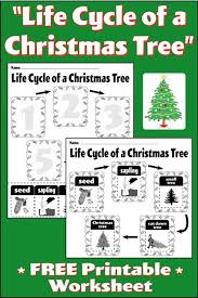 Life Cycle Of A Christmas Tree Printable Worksheet Christmas Worksheets Christmas Tree Printable Tree Life Cycle
