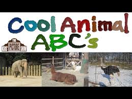 Follow the vibe and change your wallpaper every day! Cool Animal Abc S Zoo Alphabet The Kids Picture Show Fun Educational Learning Video Youtube