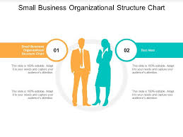 Small Business Organizational Structure Chart Ppt Powerpoint