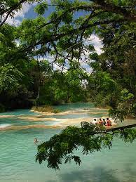 Cataratas De Agua Azul In Chiapas Mexico By Hans Liek My Travel Bucket List Pinterest Beautiful Natacion Y Mundo