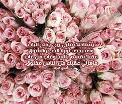 شعر غزل بدوي ليدي بيرد
