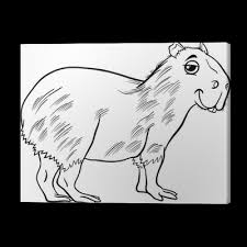 For now, i am celebrating by sharing a printable coloring sheet i created inspired by the film! Capybara Animal Cartoon Coloring Page Canvas Print Pixers We Live To Change