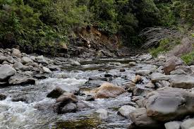 Before deciding which rv brand is the best forest river is relatively young compared to jayco, with the brand coming into existence in 1996. How To Find Drinkable Water In The Wild