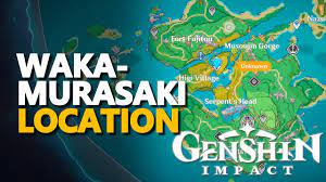 Wakamurasaki Genshin Impact Location - YouTube