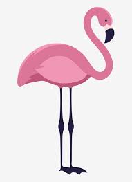 More animals & plants from san diego zoo and san diego zoo safari park. Standing Flamingo Illustration Flamingo Clipart Flamingo Animal Png And Vector With Transparent Background For Free Download