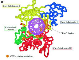 「site:.edu "posts/list" touch」的圖片搜尋結果