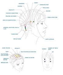 Discover Access Consciousness Cory Michelle