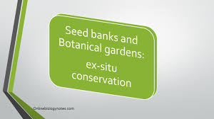 Types of insitu and exsitu conservation are explained in the video. Seed Banks And Botanical Gardens Ex Situ Conservation Online Biology Notes