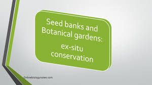 A seed bank is a facility used to store seeds of various crops and wild plants, in an effort to maintain biodiversity. Seed Banks And Botanical Gardens Ex Situ Conservation Online Biology Notes