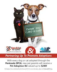 Check spelling or type a new query. Adopt