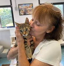 This is Jules, She is 21 weeks old Lab/terrier mix She is learning to walk 