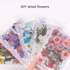Check spelling or type a new query. Hot Sale Pressed Flower Mixed Organic Natural Dried Flowers Diy Art Floral Decors Collection Gift Best Price Artificial Dried Flowers Aliexpress