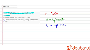 We did not find results for: Name The Plant Hormones Responsible For The Following A Elongation Of Cells B Growth Of Stem Youtube