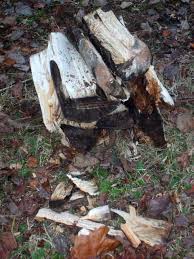 Qr code link to this post. How To Split Firewood Correctly The Art Of Manliness