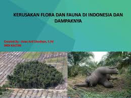 Upaya mencegah, melindungi flora dan fauna akan dibahas lengkap pada materi pelajaran geografi sebagai berikut ini. Ppt Kerusakan Flora Dan Fauna Dan Usaha Konsrvasi Alam