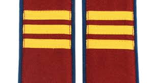 Image result for Orange Yellow 1943 Military