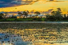 Brazil has a long and varied coastline spanning much of the eastern side of brazil's capital, brasilia, is situated on an inland plateau. Brazil Weather Monthly Temperatures F And Rainfall
