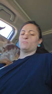 Aussie dogs loving to be carried