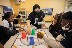 Image result for Olinia chimanimani