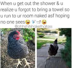 15 Situations That Will Have You Running Like A Chicken How Are You Feeling Running Life