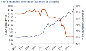 Tesla Retail Investors Rushing In Nest Eggs Cracking