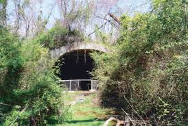 Check spelling or type a new query. Terowong Misteri Tempat Hantu Berkeliaran
